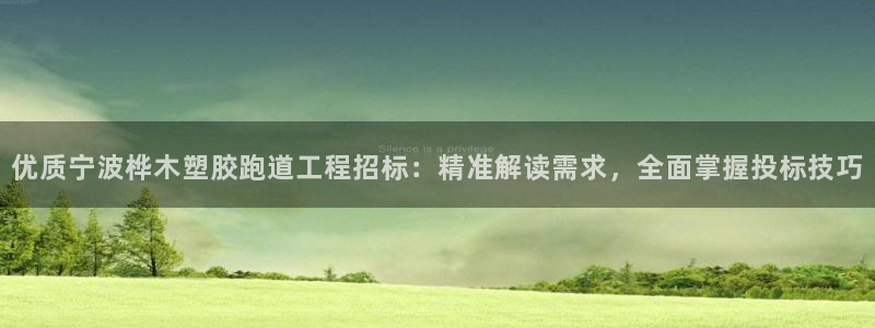 红足一1世比分网：优质宁波桦木塑胶跑道工程招标：精准解读需求，全面掌握投标技巧