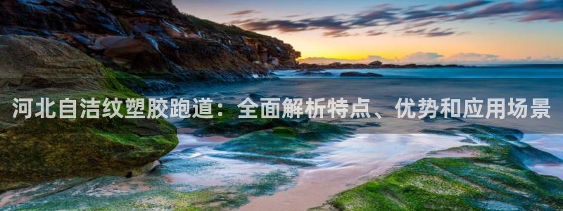 红足一1世66814新宝：河北自洁纹塑胶跑道：全面解析特点、优势和应用场景