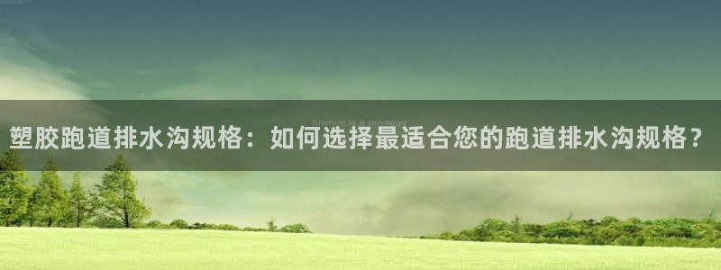 红足一生世：塑胶跑道排水沟规格：如何选择最适合您的跑道排水沟规格？