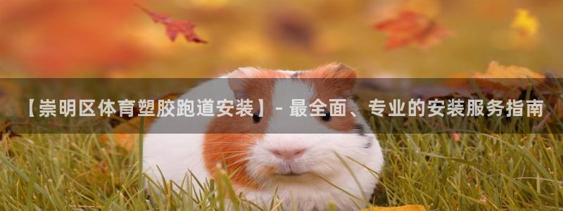 红足一1世皇冠地址：【崇明区体育塑胶跑道安装】- 最全面、专业的安装服务指南