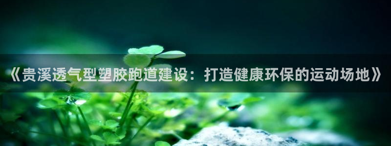 红足1世足球比分 localhost：《贵溪透气型塑胶跑道建设：打造健康环保的运动场地》