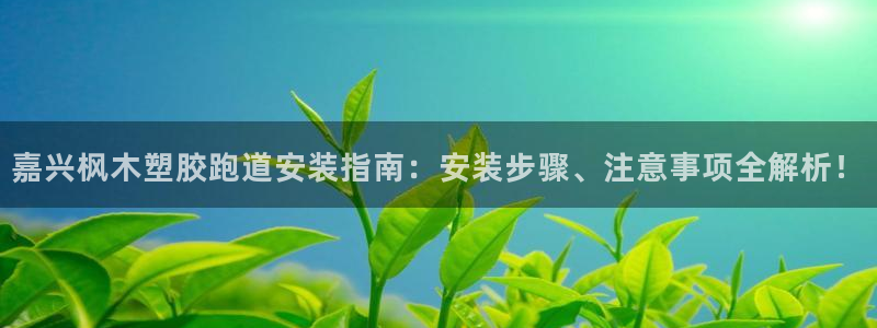 333814红·足一世比分：嘉兴枫木塑胶跑道安装指南：安装步骤、注意事项全解析！