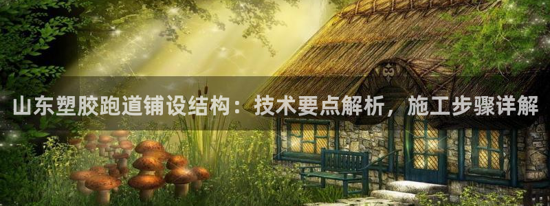 红足一球：山东塑胶跑道铺设结构：技术要点解析，施工步骤详解