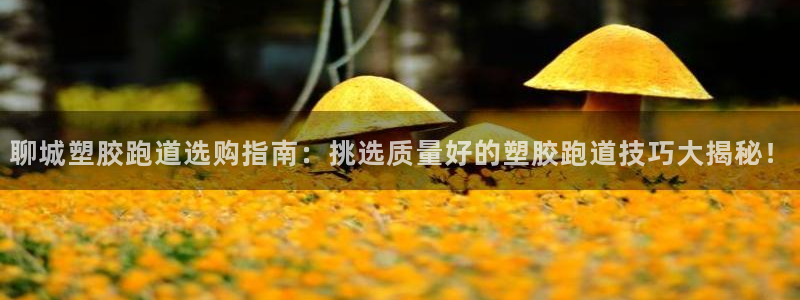 55814红足1世：聊城塑胶跑道选购指南：挑选质量好的塑胶跑道技巧大揭秘！
