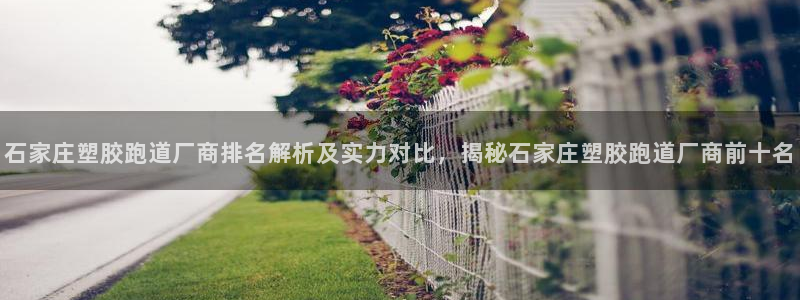 红足一1世平台：石家庄塑胶跑道厂商排名解析及实力对比，揭秘石家庄塑胶跑道厂商前十名