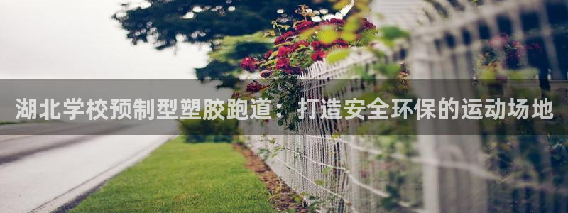 红足1世手足球比分