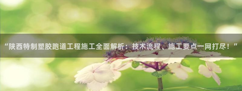 红足一1世66814：“陕西特制塑胶跑道工程施工全面解析：技术流程、施工要点一网打尽！”