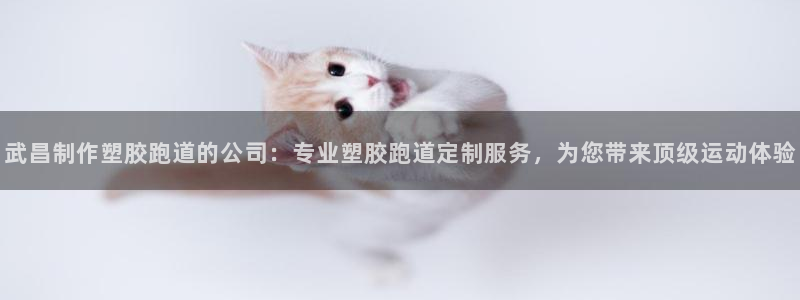 红足1世手机下载：武昌制作塑胶跑道的公司：专业塑胶跑道定制服务，为您带来顶级运动体验