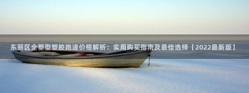 红足一1世皇冠：东丽区全塑型塑胶跑道价格解析：实用购买指南及最佳选择【2022最新版】