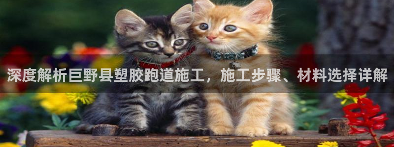 红足1世手足球比分