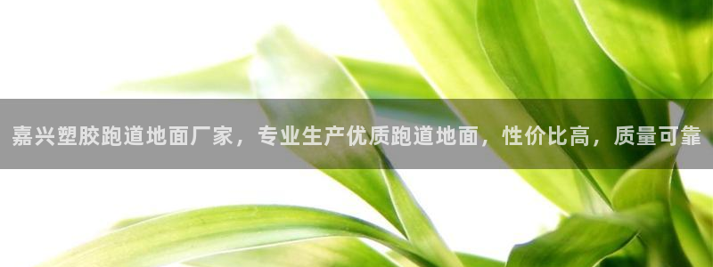红足一1世皇冠：嘉兴塑胶跑道地面厂家，专业生产优质跑道地面，性价比高，质量可靠