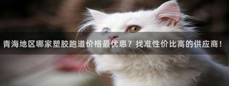 红足1世官网：青海地区哪家塑胶跑道价格最优惠？找准性价比高的供应商！