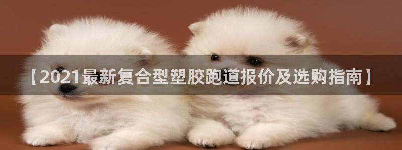 红足一1世66814：【2021最新复合型塑胶跑道报价及选购指南】