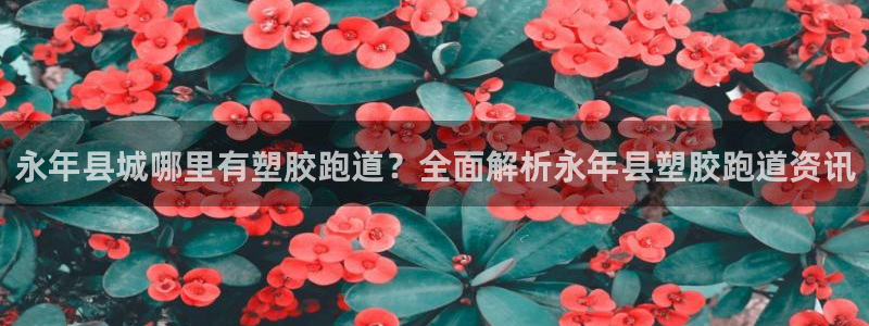 红足l一世开奖现场62ty：永年县城哪里有塑胶跑道？全面解析永年县塑胶跑道资讯
