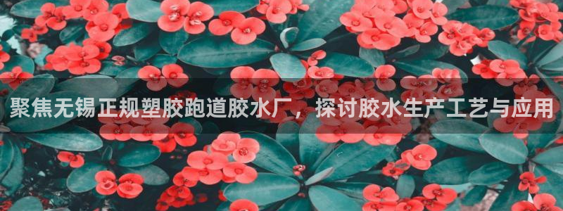 44814红足：聚焦无锡正规塑胶跑道胶水厂，探讨胶水生产工艺与应用