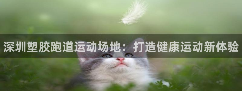 红足1世手足球比分