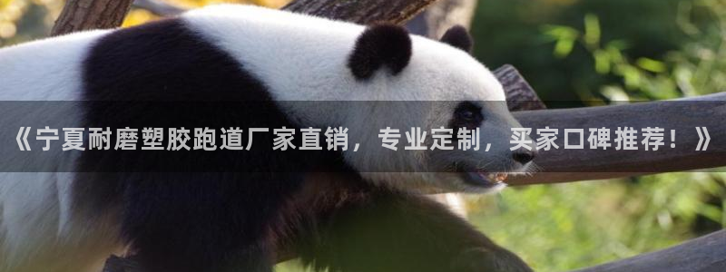 红足1一世开奖版：《宁夏耐磨塑胶跑道厂家直销，专业定制，买家口碑推荐！》