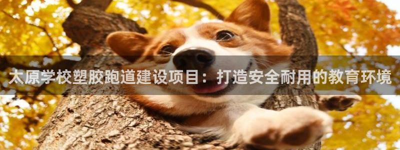 红足一1世皇冠登录：太原学校塑胶跑道建设项目：打造安全耐用的教育环境