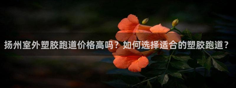 红足1世手机版下载：扬州室外塑胶跑道价格高吗？如何选择适合的塑胶跑道？