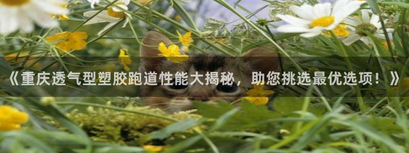红足1世手机板：《重庆透气型塑胶跑道性能大揭秘，助您挑选最优选项！》