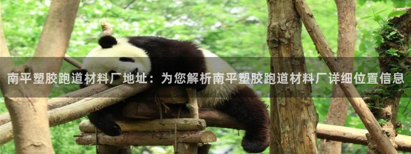 777814红·足一世比分篮球：南平塑胶跑道材料厂地址：为您解析南平塑胶跑道材料厂详细位置信息