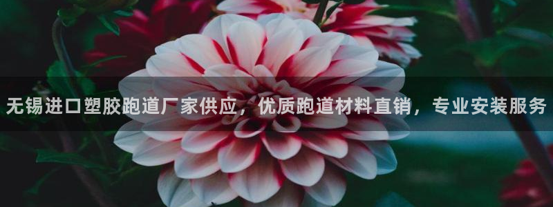 红足一1世即时比分：无锡进口塑胶跑道厂家供应，优质跑道材料直销，专业安装服务