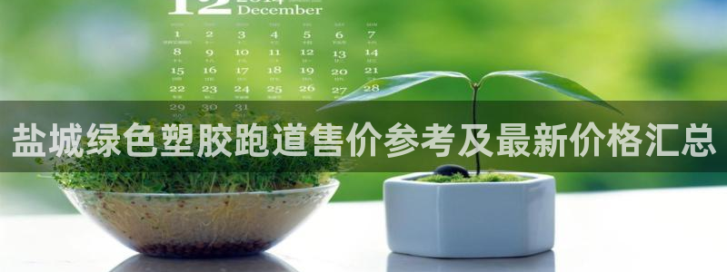 百度红足一1是什么样子的：盐城绿色塑胶跑道售价参考及最新价格汇总