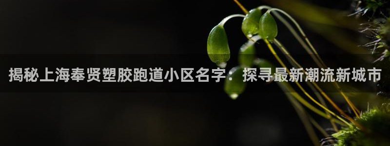 红足一1世66814：揭秘上海奉贤塑胶跑道小区名字：探寻最新潮流新城市
