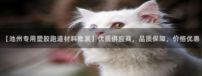66814红足：【池州专用塑胶跑道材料批发】优质供应商，品质保障，价格优惠