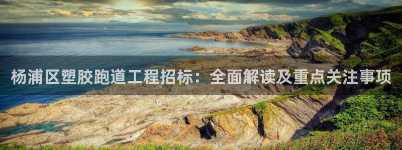 红足一丰：杨浦区塑胶跑道工程招标：全面解读及重点关注事项