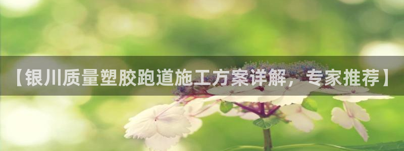 红足一生世：【银川质量塑胶跑道施工方案详解，专家推荐】