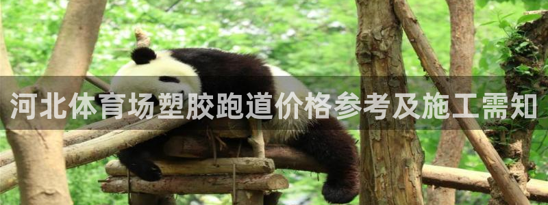 777814红·足一世