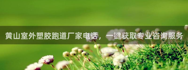 红世一足球比分：黄山室外塑胶跑道厂家电话，一键获取专业咨询服务