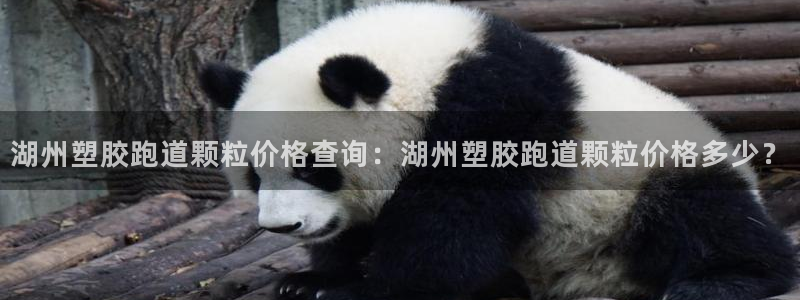 红足1世官网：湖州塑胶跑道颗粒价格查询：湖州塑胶跑道颗粒价格多少？