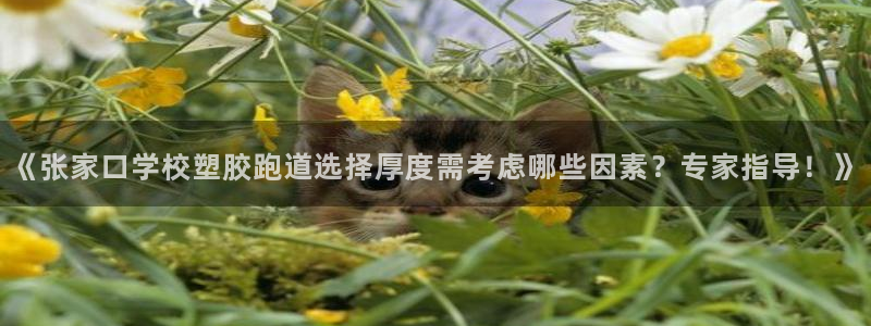 66814红足一66814世：《张家口学校塑胶跑道选择厚度需考虑哪些因素？专家指导！》