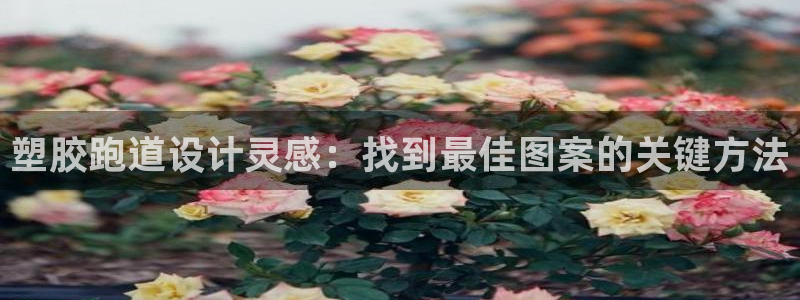 红足一1世皇冠