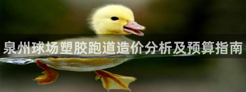 百度红足一1是什么样子的