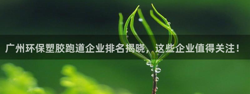 红足一1世开奖记录：广州环保塑胶跑道企业排名揭晓，这些企业值得关注！