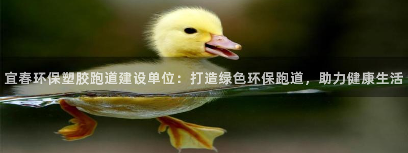 红足1世手足球比分：宜春环保塑胶跑道建设单位：打造绿色环保跑道，助力健康生活