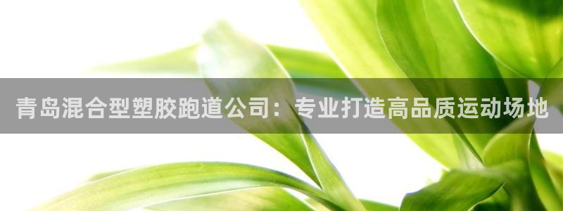 红姐现场直播开奖记录：青岛混合型塑胶跑道公司：专业打造高品质运动场地