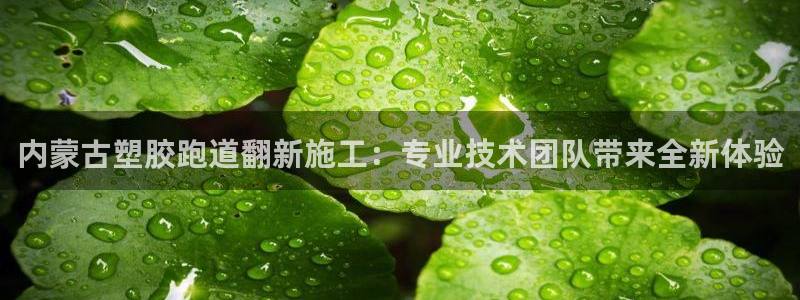 红足一1世66814：内蒙古塑胶跑道翻新施工：专业技术团队带来全新体验