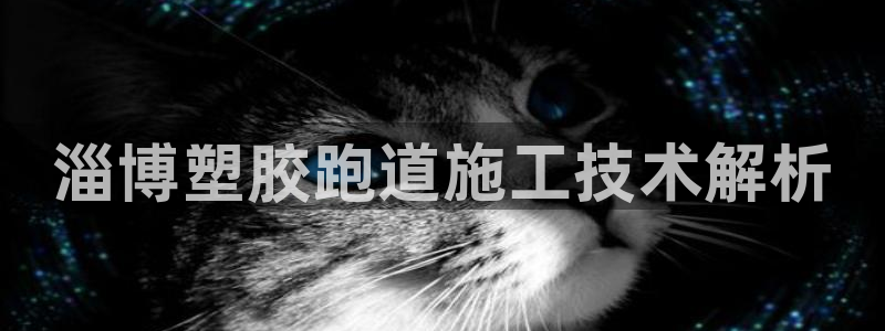 百度红足一1是干什么的：淄博塑胶跑道施工技术解析