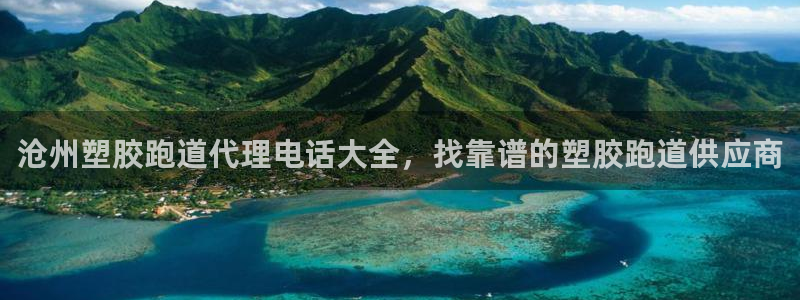 红足一生世：沧州塑胶跑道代理电话大全，找靠谱的塑胶跑道供应商