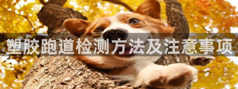 红足一1世：塑胶跑道检测方法及注意事项