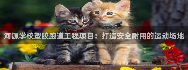 红足l一世开奖现场62ty：河源学校塑胶跑道工程项目：打造安全耐用的运动场地