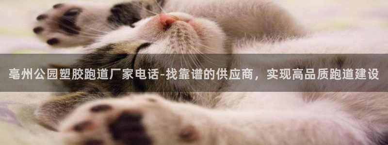 红足1世足球比分：亳州公园塑胶跑道厂家电话-找靠谱的供应商，实现高品质跑道建设