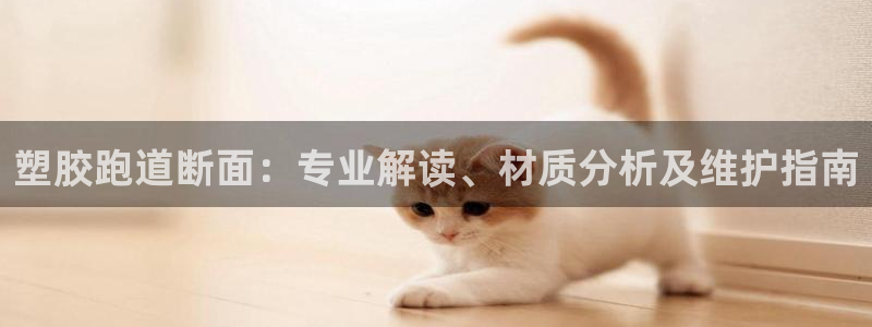 塑胶跑道断面：专业解读、材质分析及维护指南