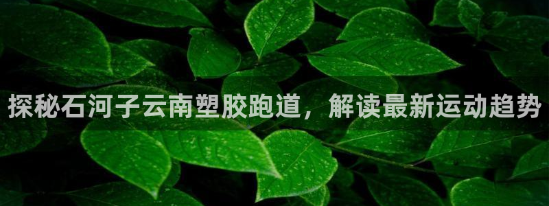 百度红足一1是为什么：探秘石河子云南塑胶跑道，解读最新运动趋势