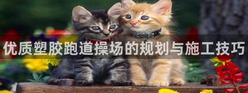 红足1世足球比分预测：优质塑胶跑道操场的规划与施工技巧