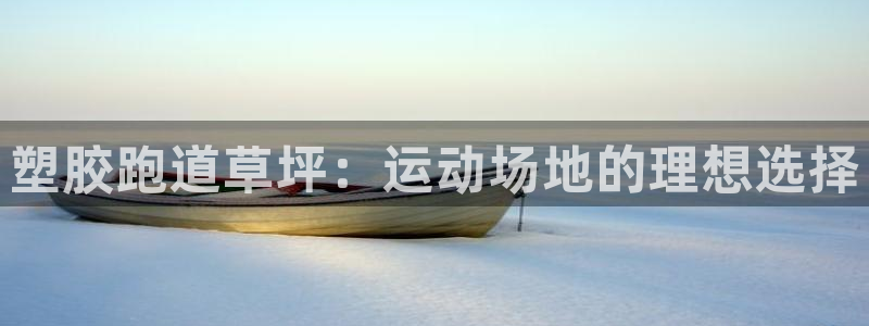 百度红足一1世：塑胶跑道草坪：运动场地的理想选择